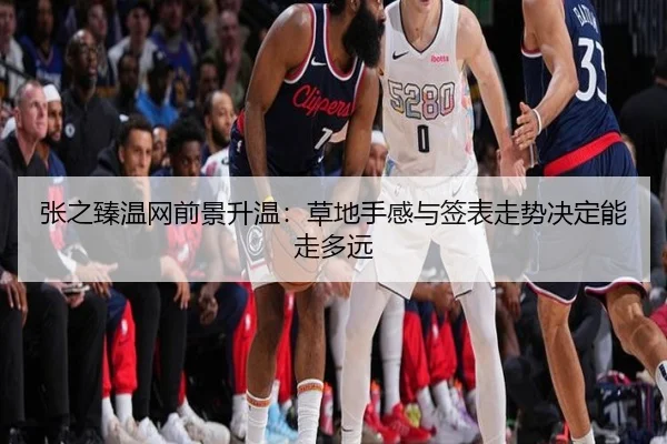 张之臻温网前景升温：草地手感与签表走势决定能走多远